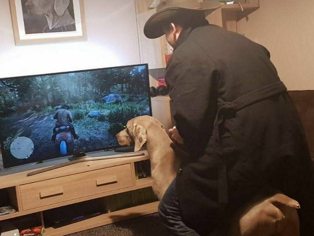 На общую тему 