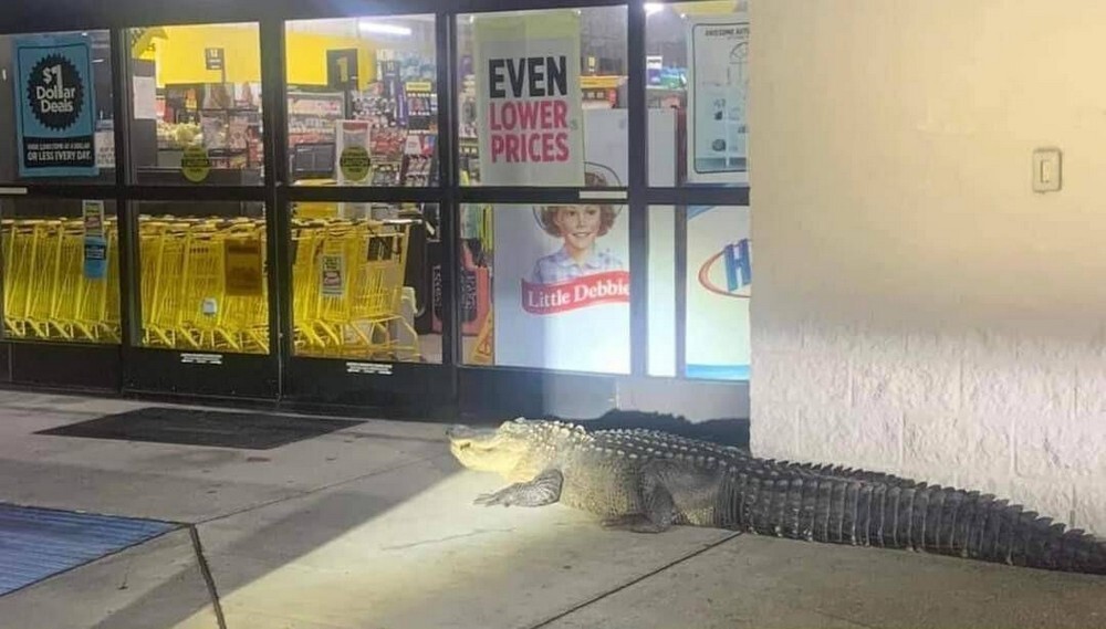 На общую тему 