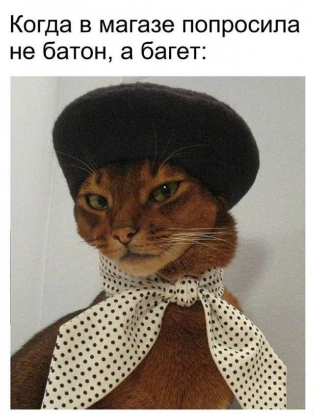 Скрины из соцсетей