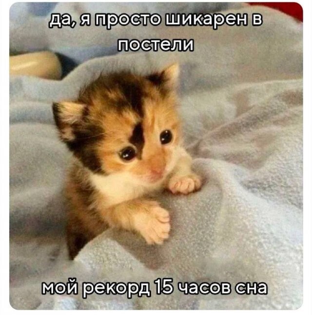Скрины из соцсетей
