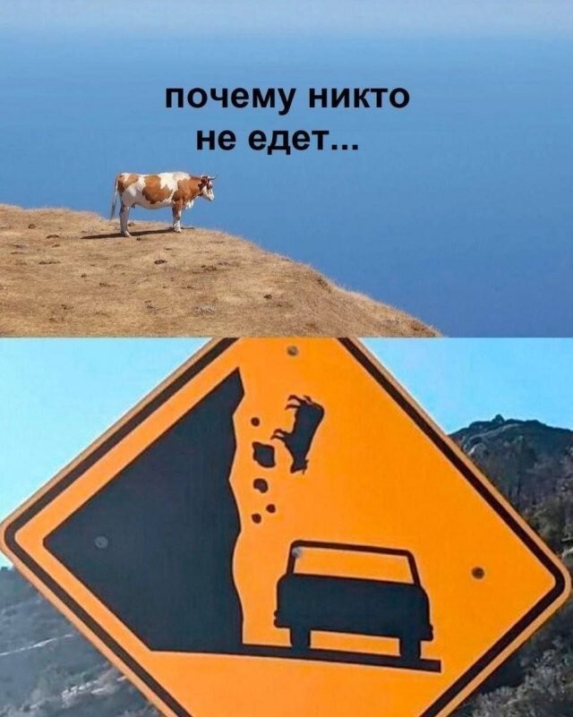 Скрины из соцсетей