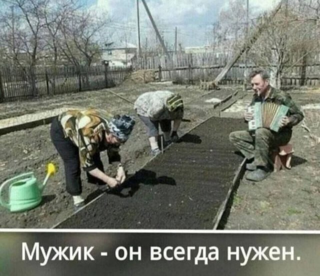 Скрины из соцсетей
