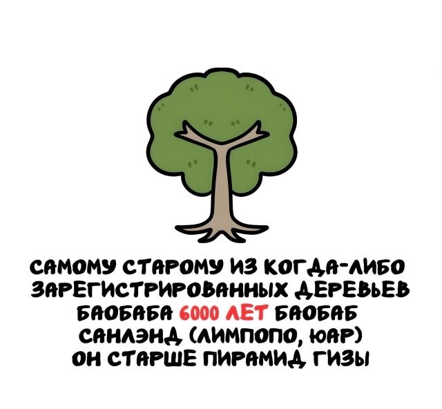 А вдруг ты не знал…