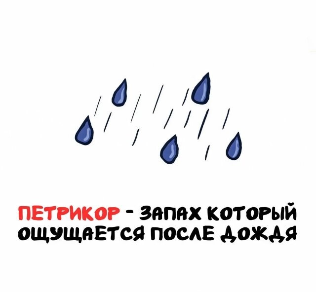 А вдруг ты не знал…