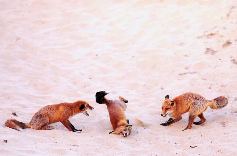 Главный приз в группе юных фотографов
