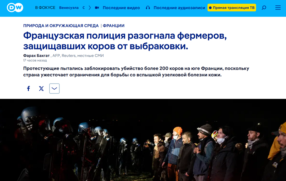 Коровы под нож, фермеры на баррикады: во Франции опять навозные войны
