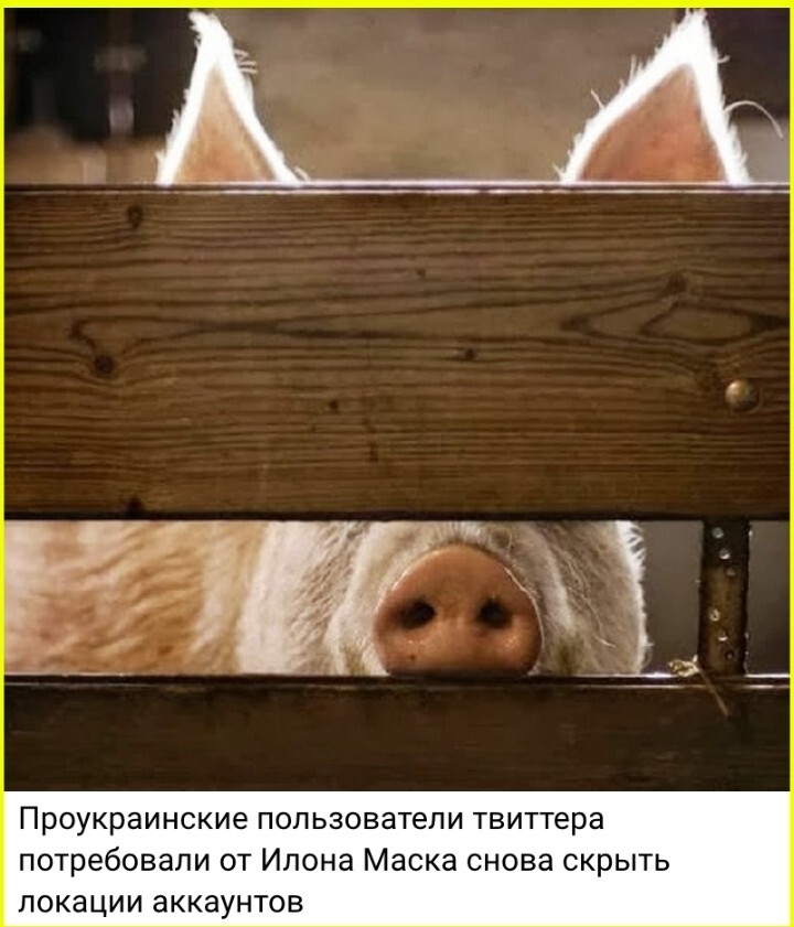 О политике и не только