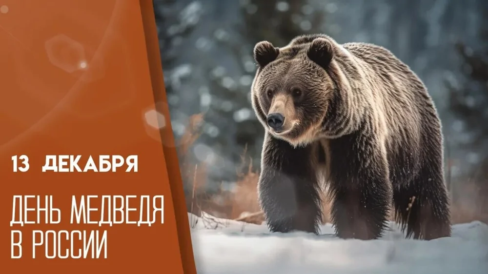ecdfe7cd316af105d0ac409111ab50ca.jpg.web