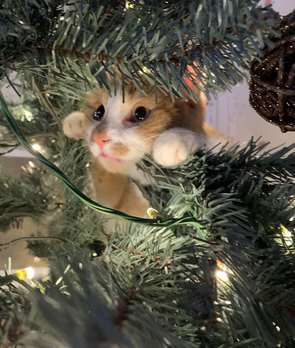 4. Уже скоро