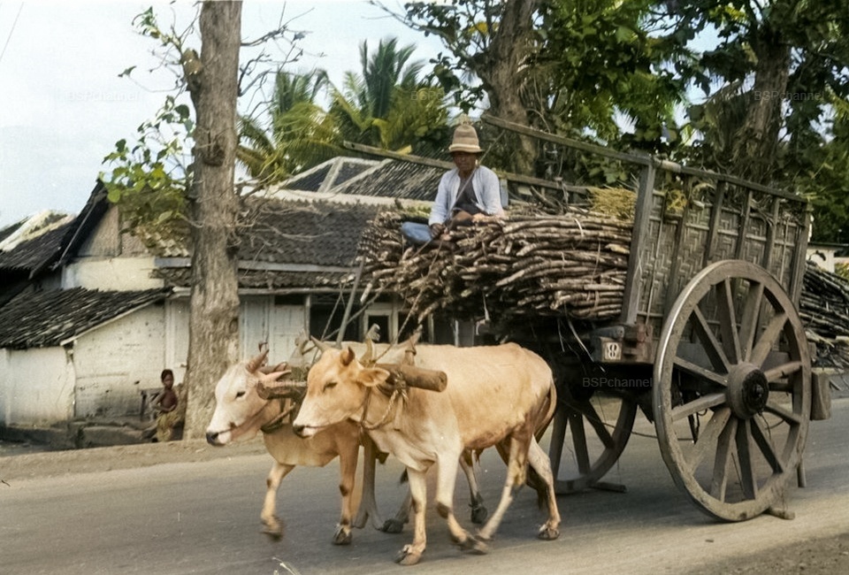 Необычные и интересные снимки из разных стран мира, сделанные в XX веке