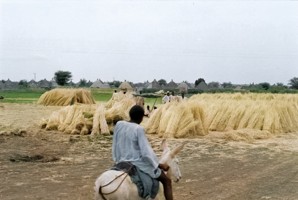 Необычные и интересные снимки из разных стран мира, сделанные в XX веке