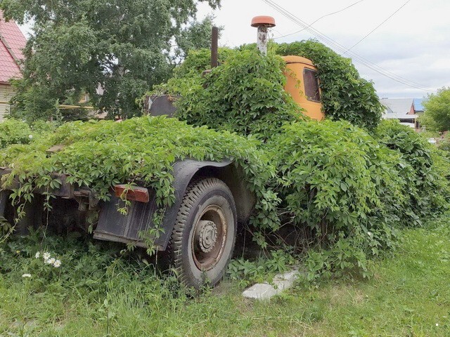 АвтоВсячина