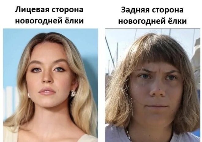 Смешные картинки