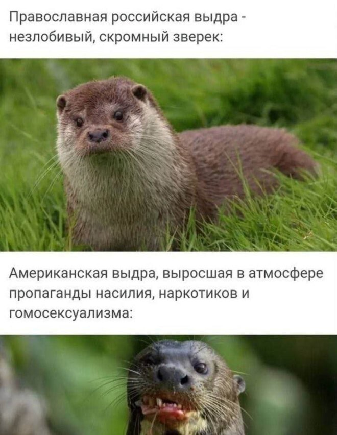 Смешные картинки