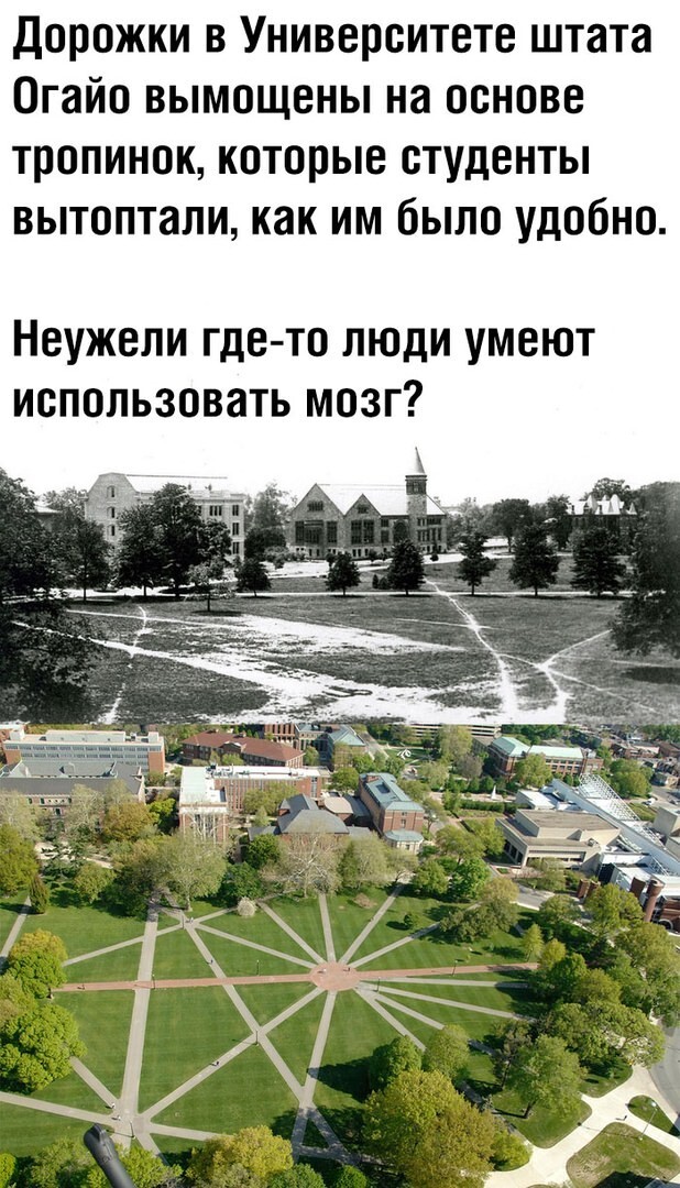 Смешные картинки