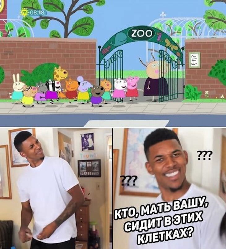 Смешные картинки