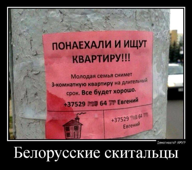 Подборка забавных демотиваторов 