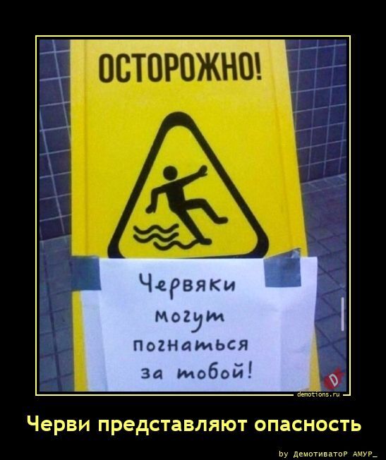 Подборка забавных демотиваторов 