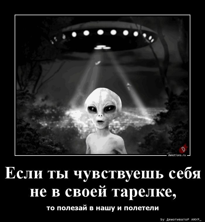 Подборка забавных демотиваторов 