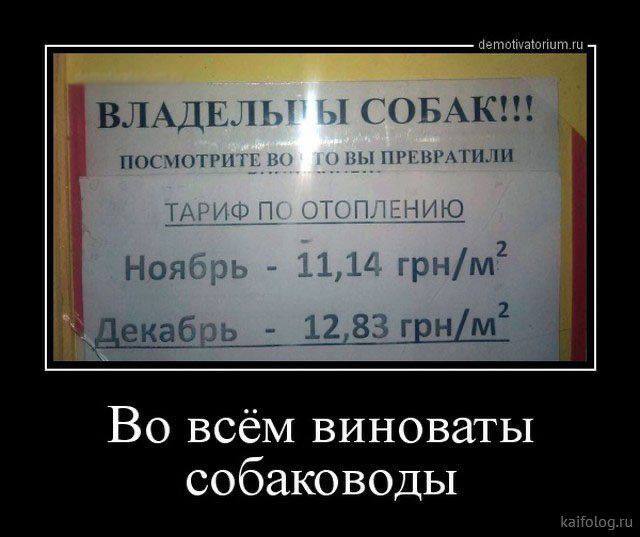 Подборка забавных демотиваторов 