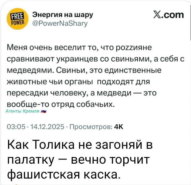 Вот им мозг от поросячих и пересадили