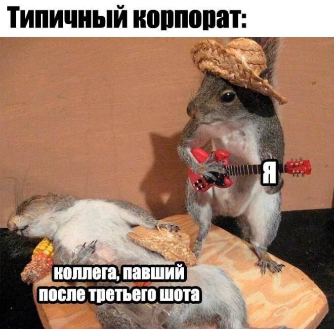 Смешные картинки