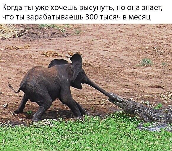 Смешные картинки