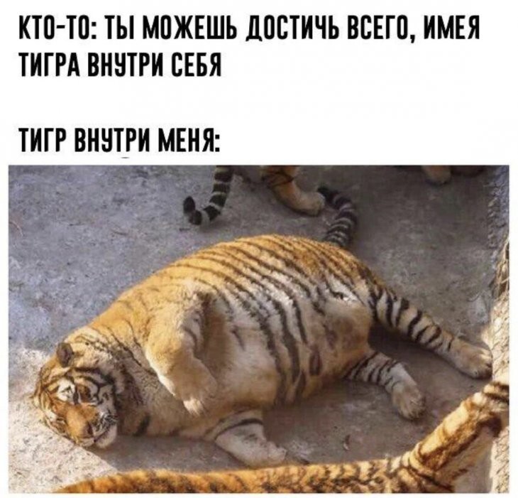 Смешные картинки