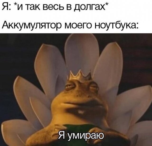 Скрины из соцсетей