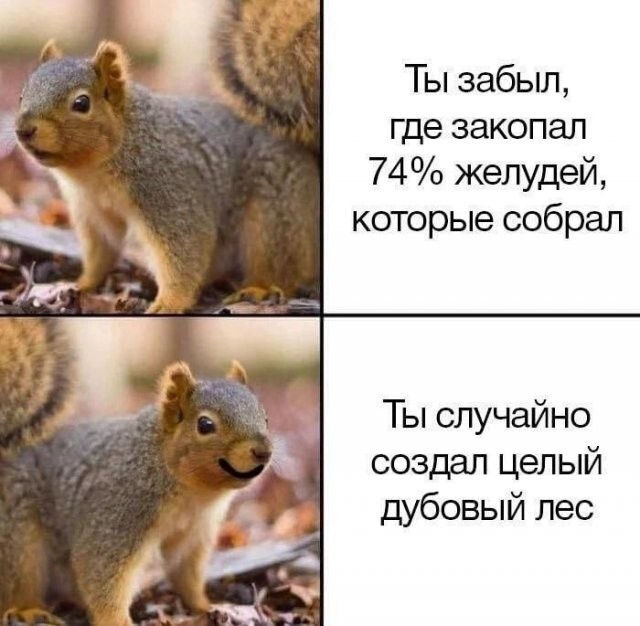 Скрины из соцсетей