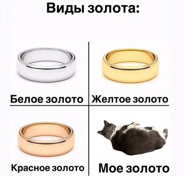 Скрины из соцсетей