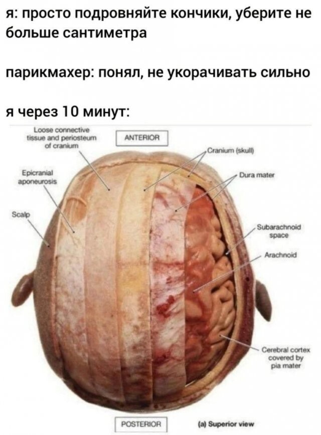 Скрины из соцсетей