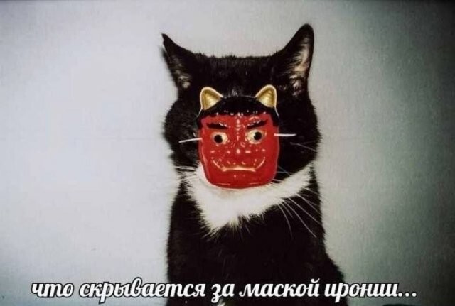 Скрины из соцсетей