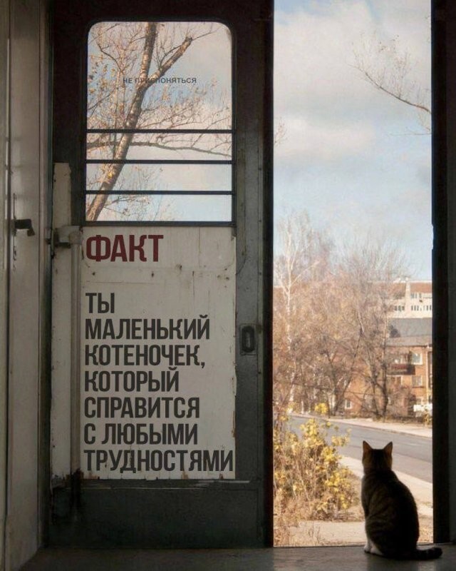 Скрины из соцсетей