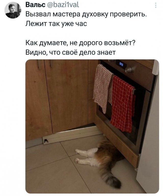 Скрины из соцсетей