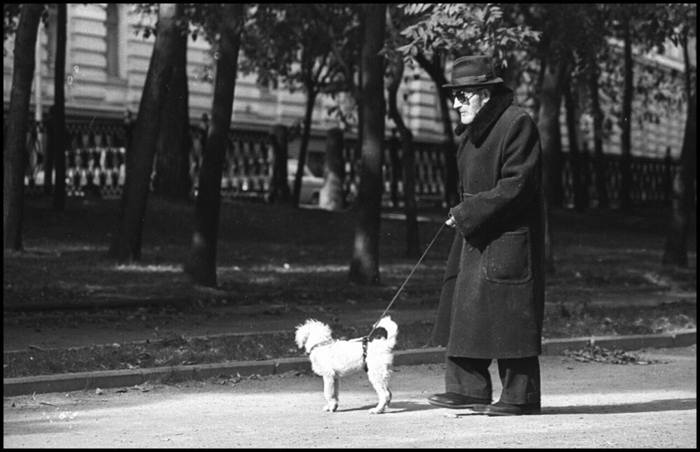 Собачья жизнь. ч.1