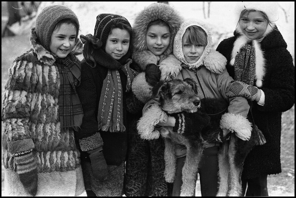 Собачья жизнь. ч.2