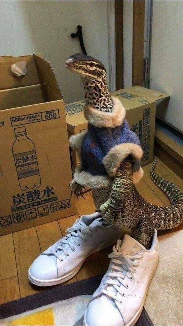 &nbsp;Намешалось&nbsp;
