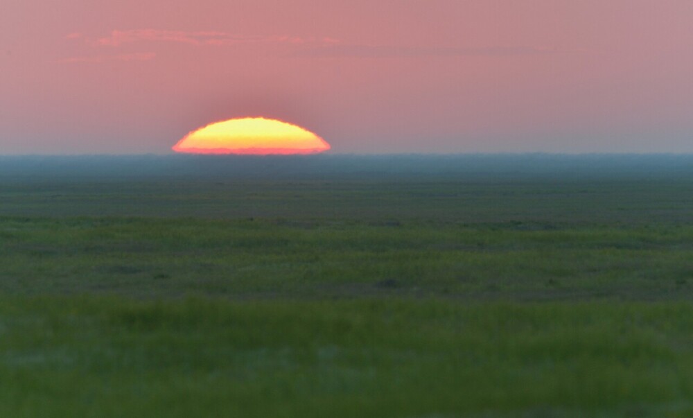 Рассвет. Прикаспийские степи. Фотограф