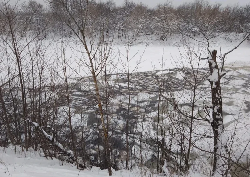 Более 200 овец утонули в озере в Башкирии