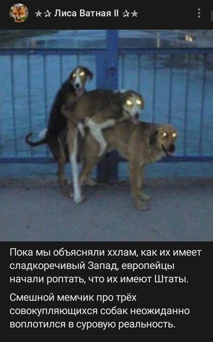 Лишь о политике , но и не только о ней