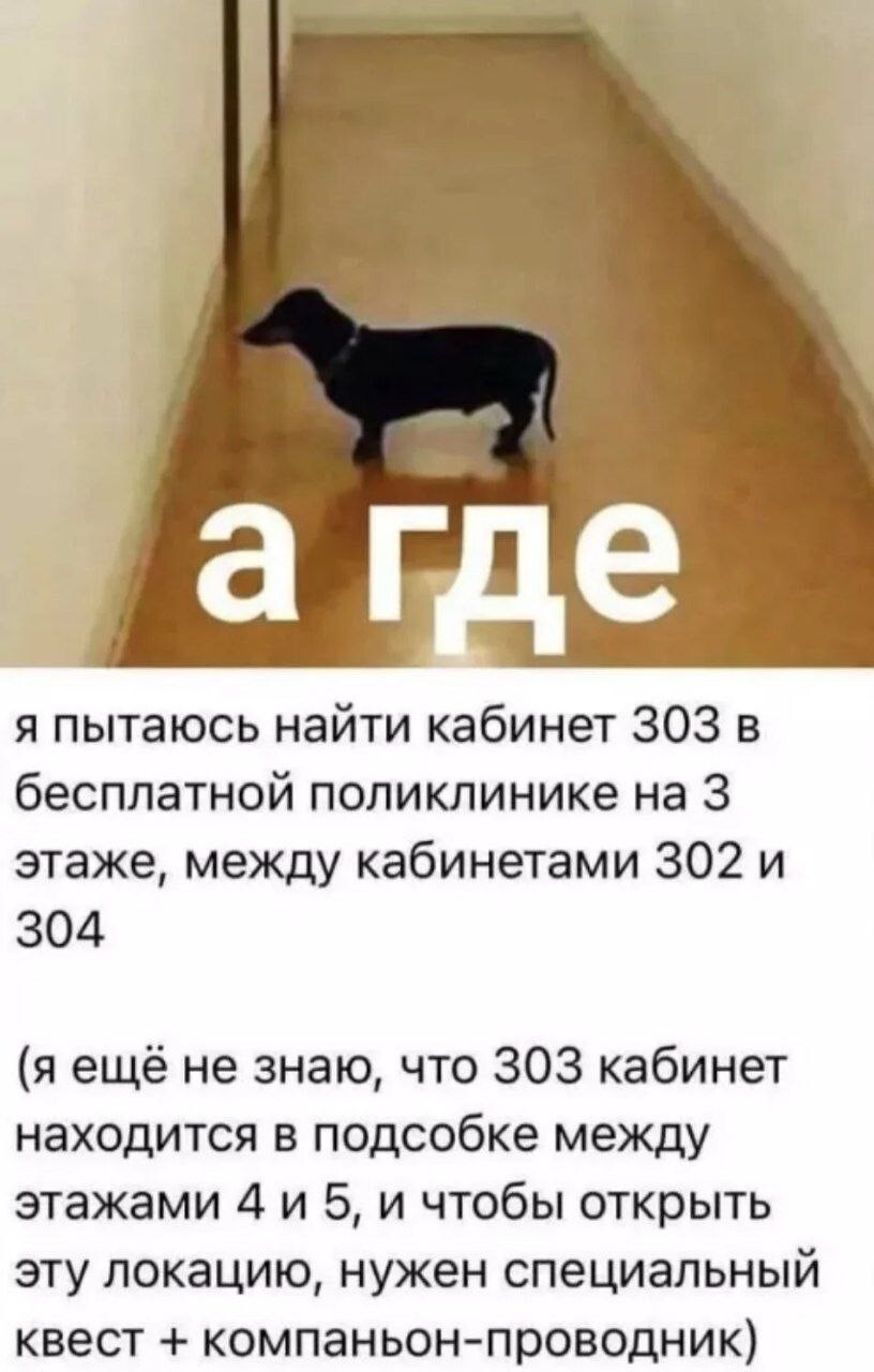 Смешные картинки