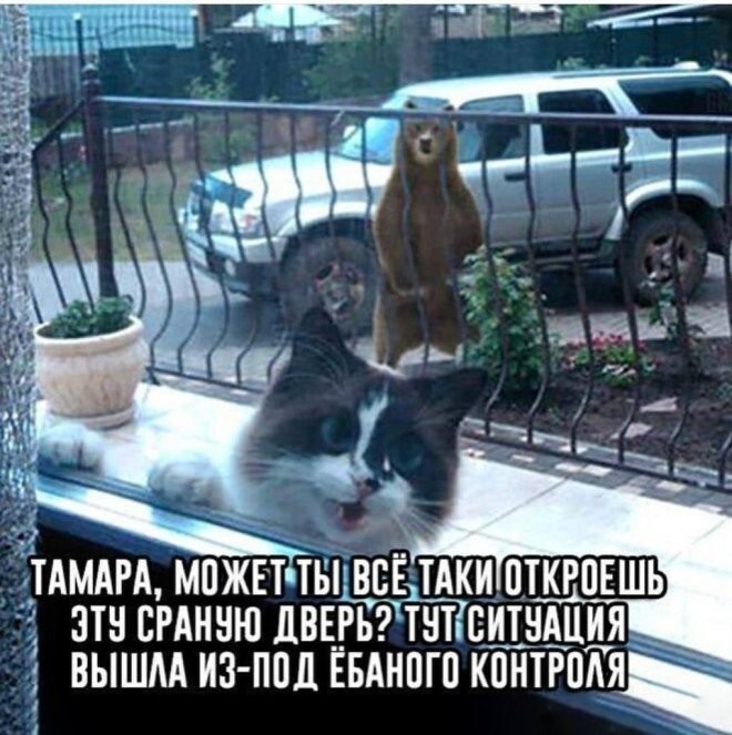 Смешные картинки