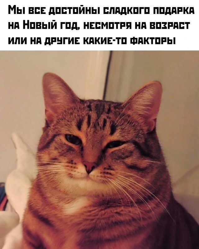 Скрины из соцсетей 