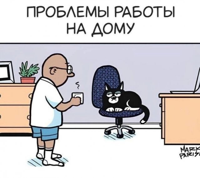 Скрины из соцсетей 