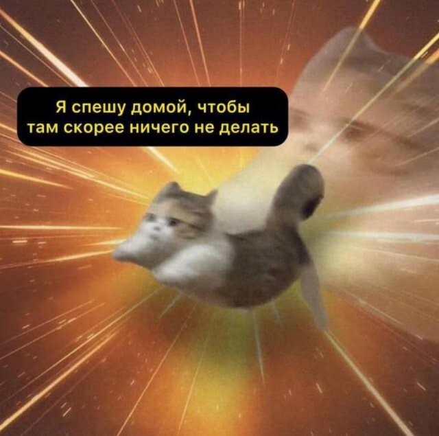 Скрины из соцсетей 