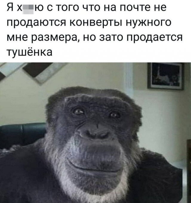Скрины из соцсетей 