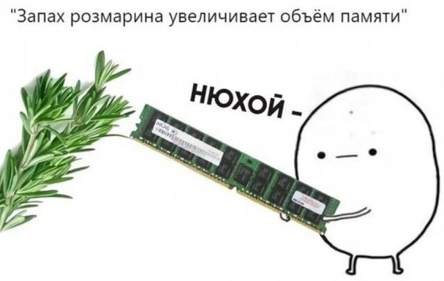 Скрины из соцсетей 