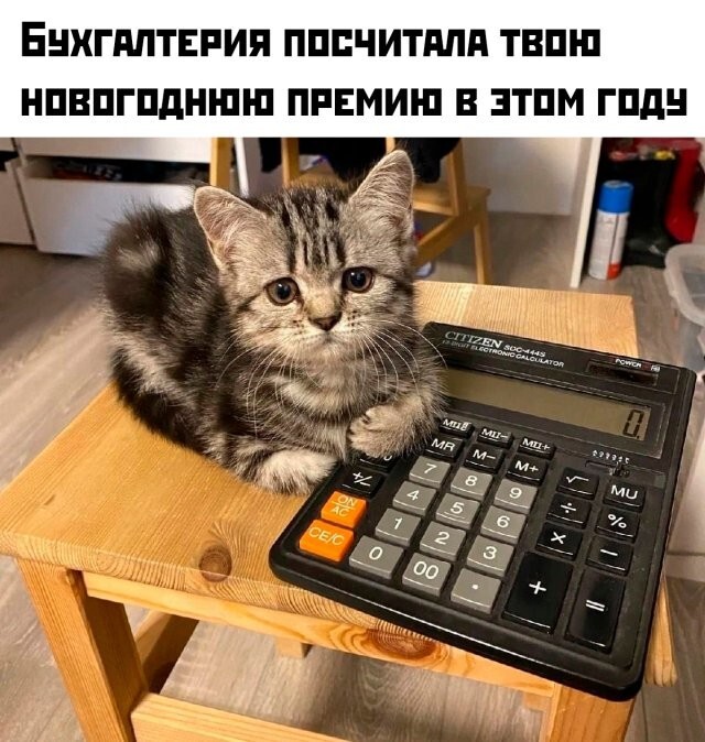 Скрины из соцсетей 