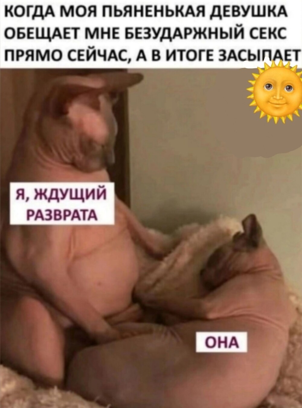 Большая тарелка улыбатора